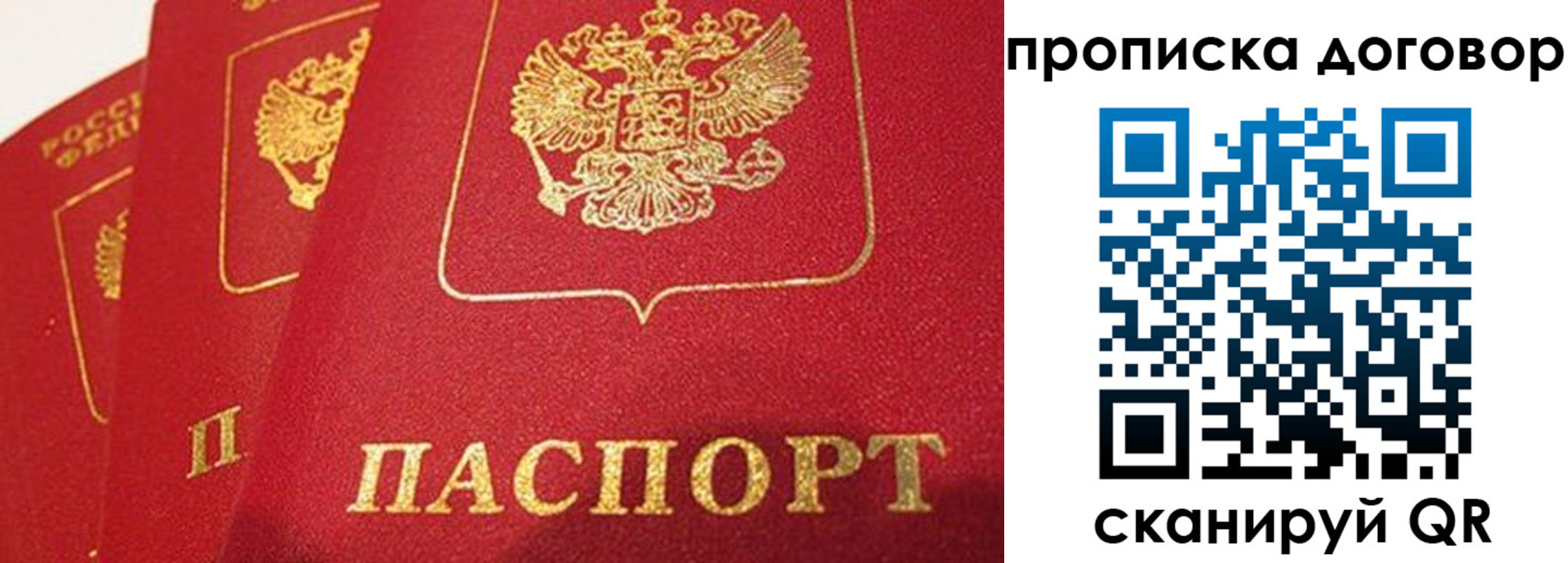 найти адрес прописки в Гаджиево